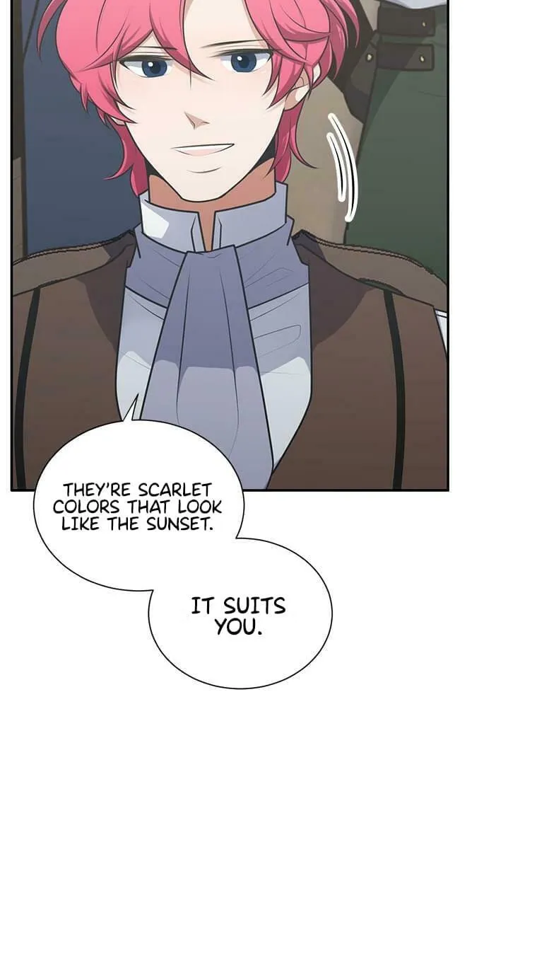 Read Elqueeness chapter 210 image 25 on Lezhin