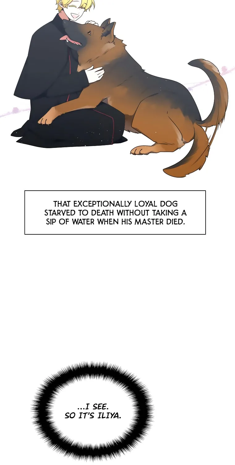 Read Elqueeness chapter 234 image 19 on Lezhin