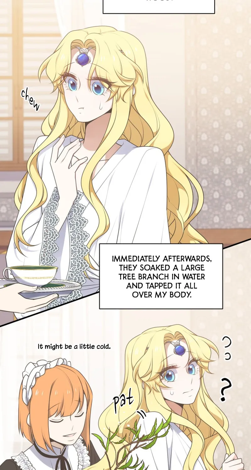 Read Elqueeness chapter 251 image 25 on Lezhin