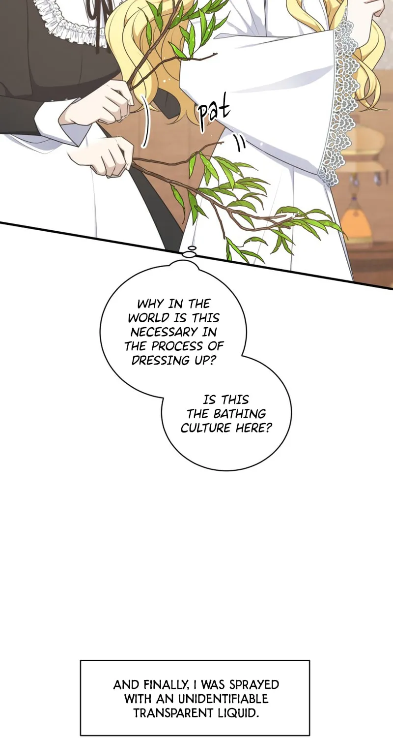 Read Elqueeness chapter 251 image 26 on Lezhin