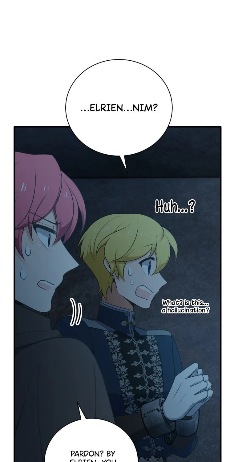 Read Elqueeness chapter 255 image 39 on Lezhin
