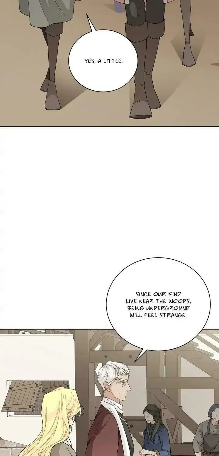 Read Elskar chapter 88 image 25 on Lezhin