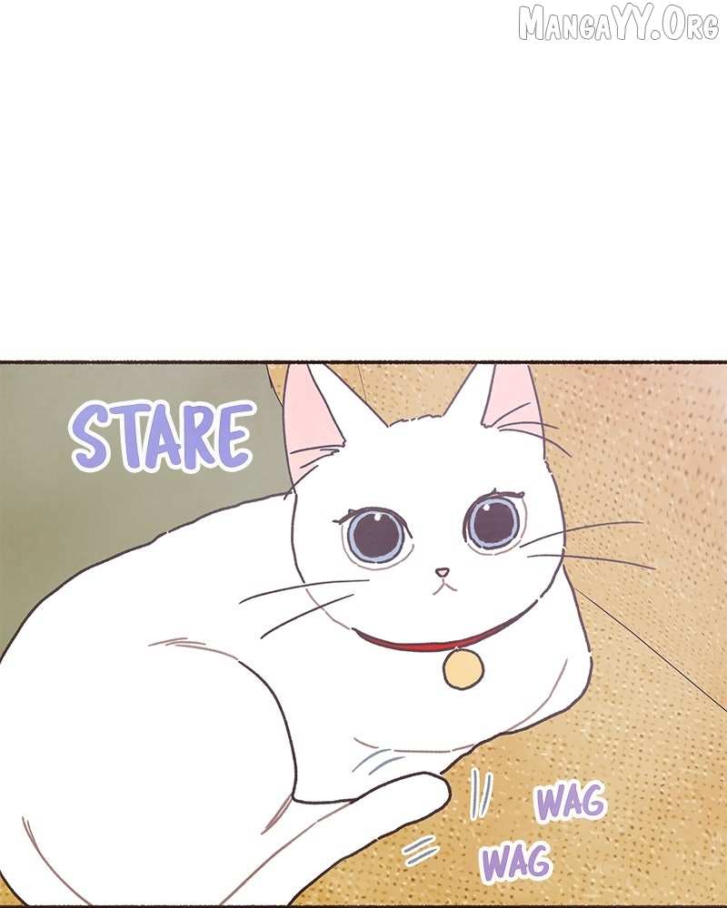 Read Emotional Transference chapter 50 image 66 on Lezhin