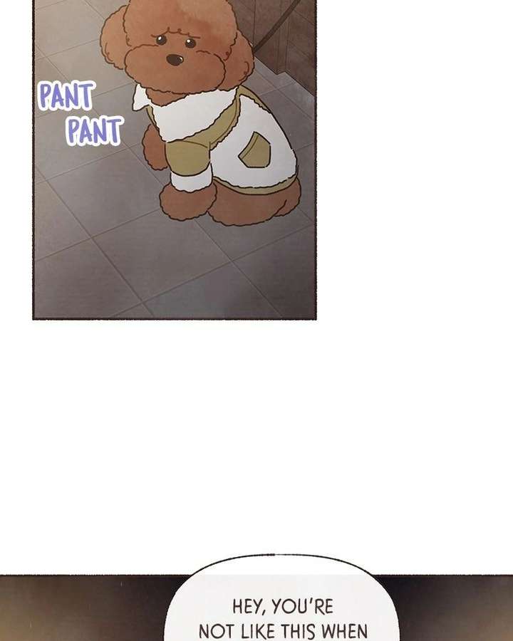 Read Emotional Transference chapter 65 image 41 on Lezhin