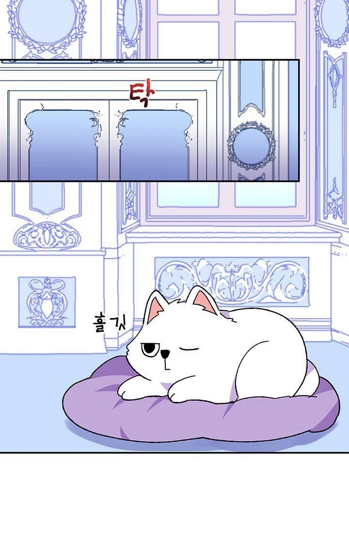 Emperor, Stay Here, Your Knight's Getting Off Work Chapter 21 page 35 - 