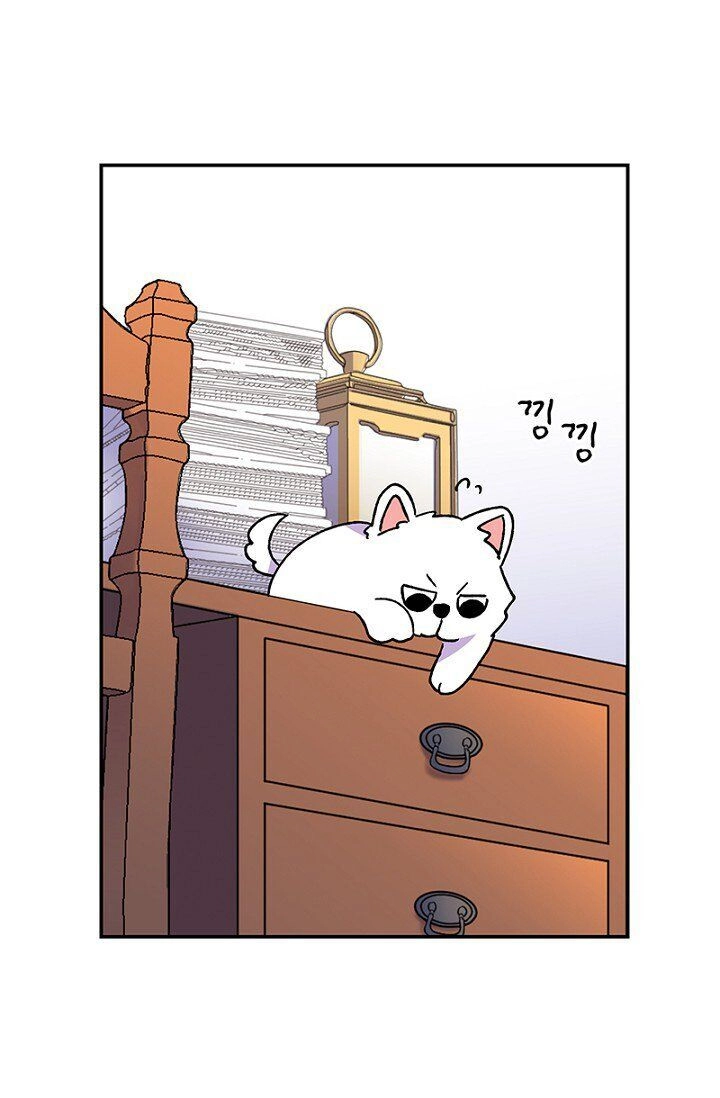 Emperor, Stay Here, Your Knight's Getting Off Work Chapter 21 page 37 - 