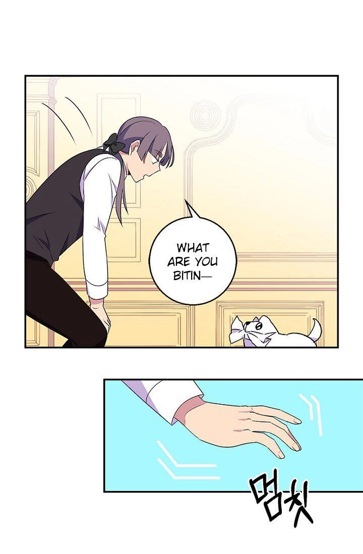 Emperor, Stay Here, Your Knight's Getting Off Work Chapter 21 page 45 - 