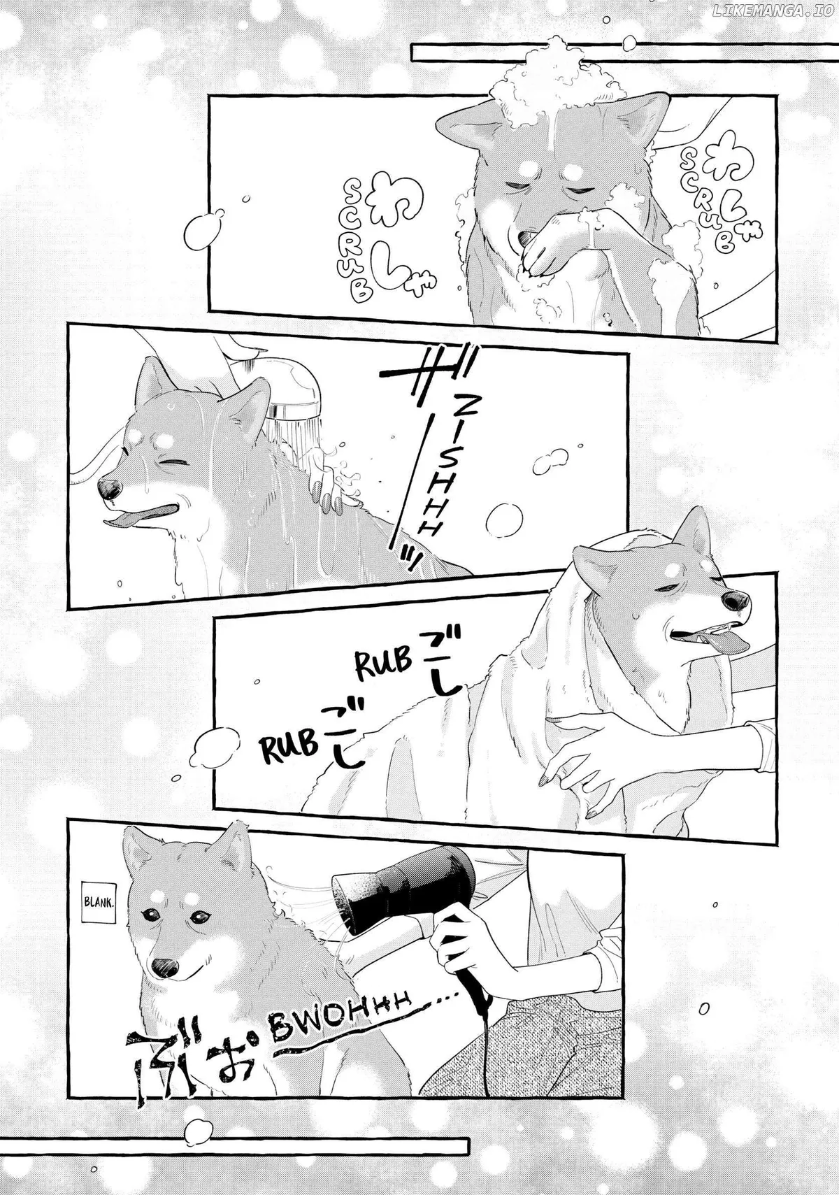 Encounter Between Polar Opposites and Their Dogs Chapter 25.5 page 11 - 