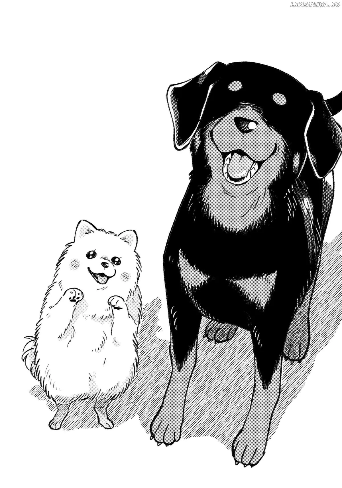 Encounter Between Polar Opposites and Their Dogs Chapter 25.5 page 21 - 