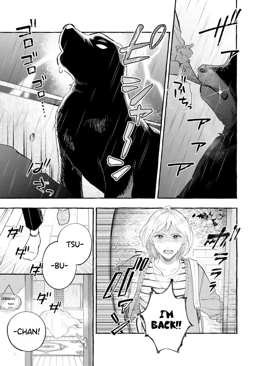 Encounter Between Polar Opposites and Their Dogs Chapter 3 page 1 - 