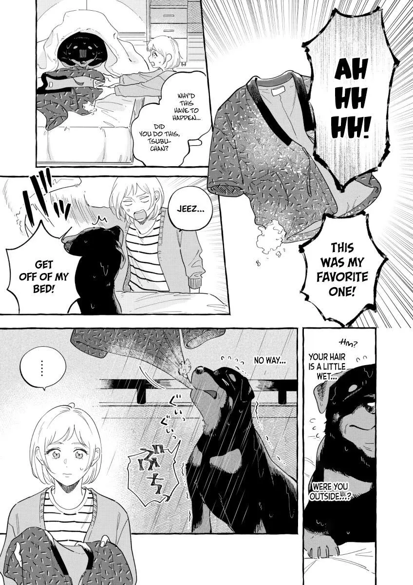Encounter Between Polar Opposites and Their Dogs Chapter 3 page 3 - 