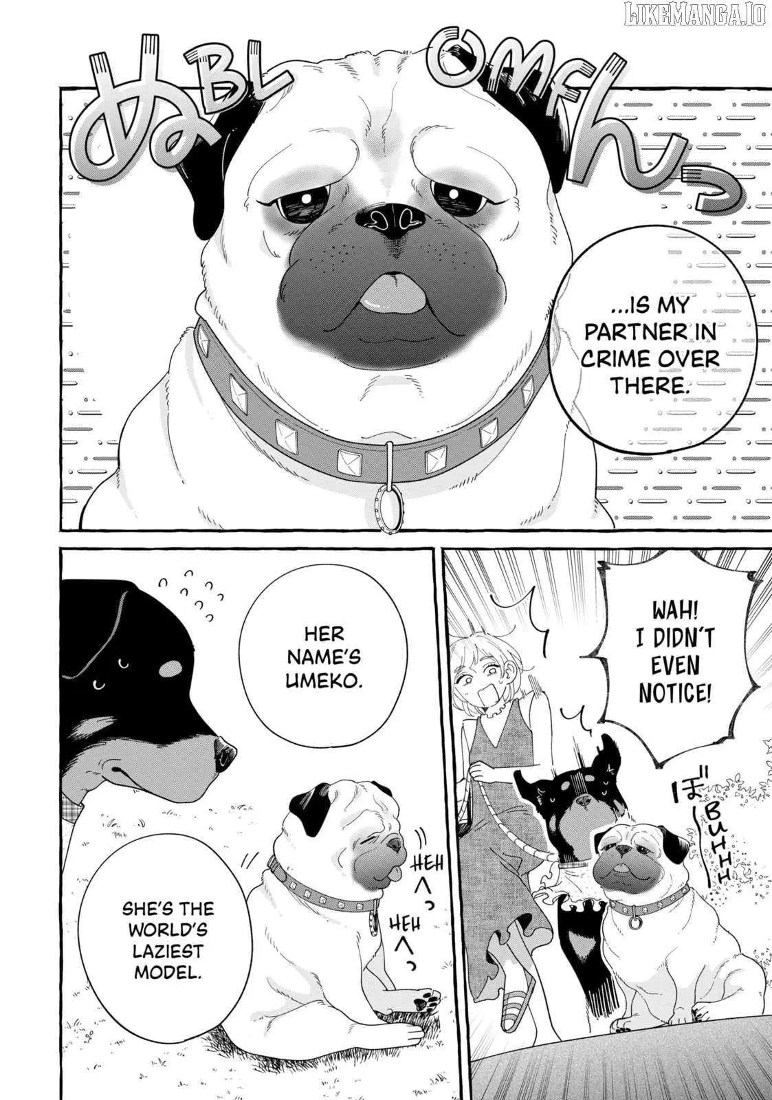 Encounter Between Polar Opposites and Their Dogs Chapter 32 page 4 - 