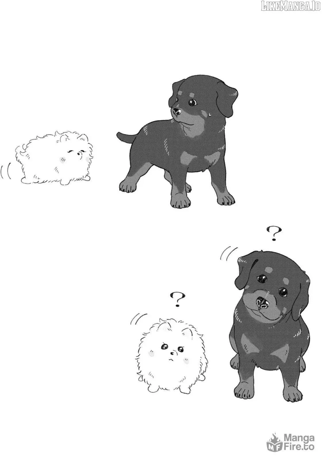 Encounter Between Polar Opposites and Their Dogs Chapter 37 page 10 - 