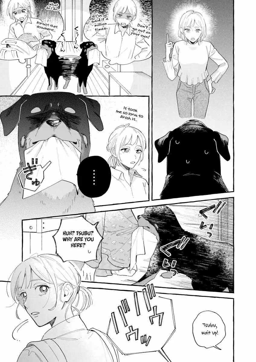 Encounter Between Polar Opposites and Their Dogs Chapter 9 page 3 - 