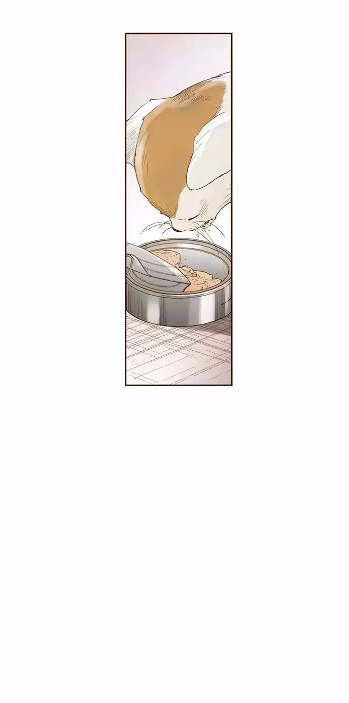 Read ENT chapter 31 image 22 on Lezhin
