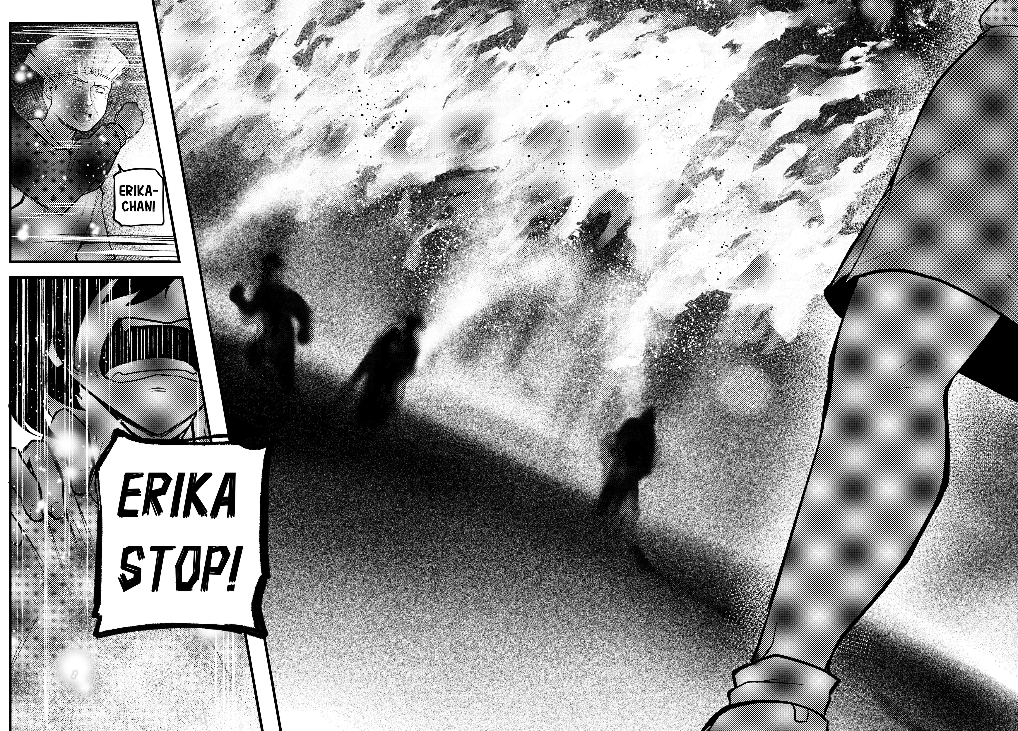 Read Erika Won