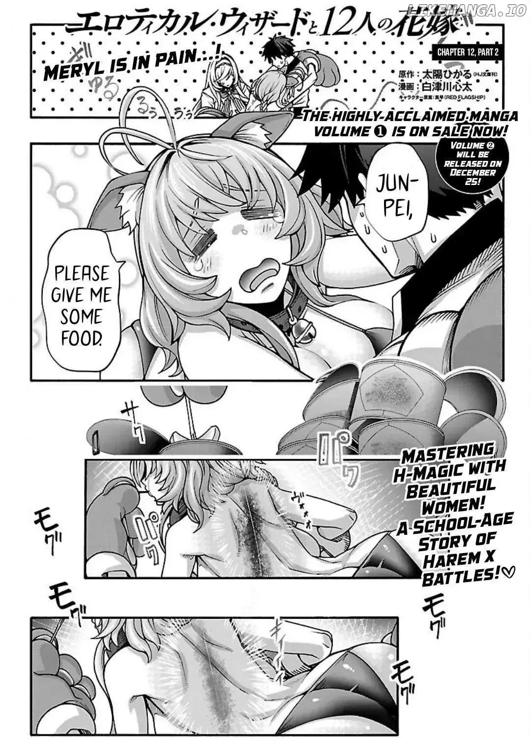 Read Erotical Wizard With Twelve Brides chapter 12.5 image 1 on Lezhin