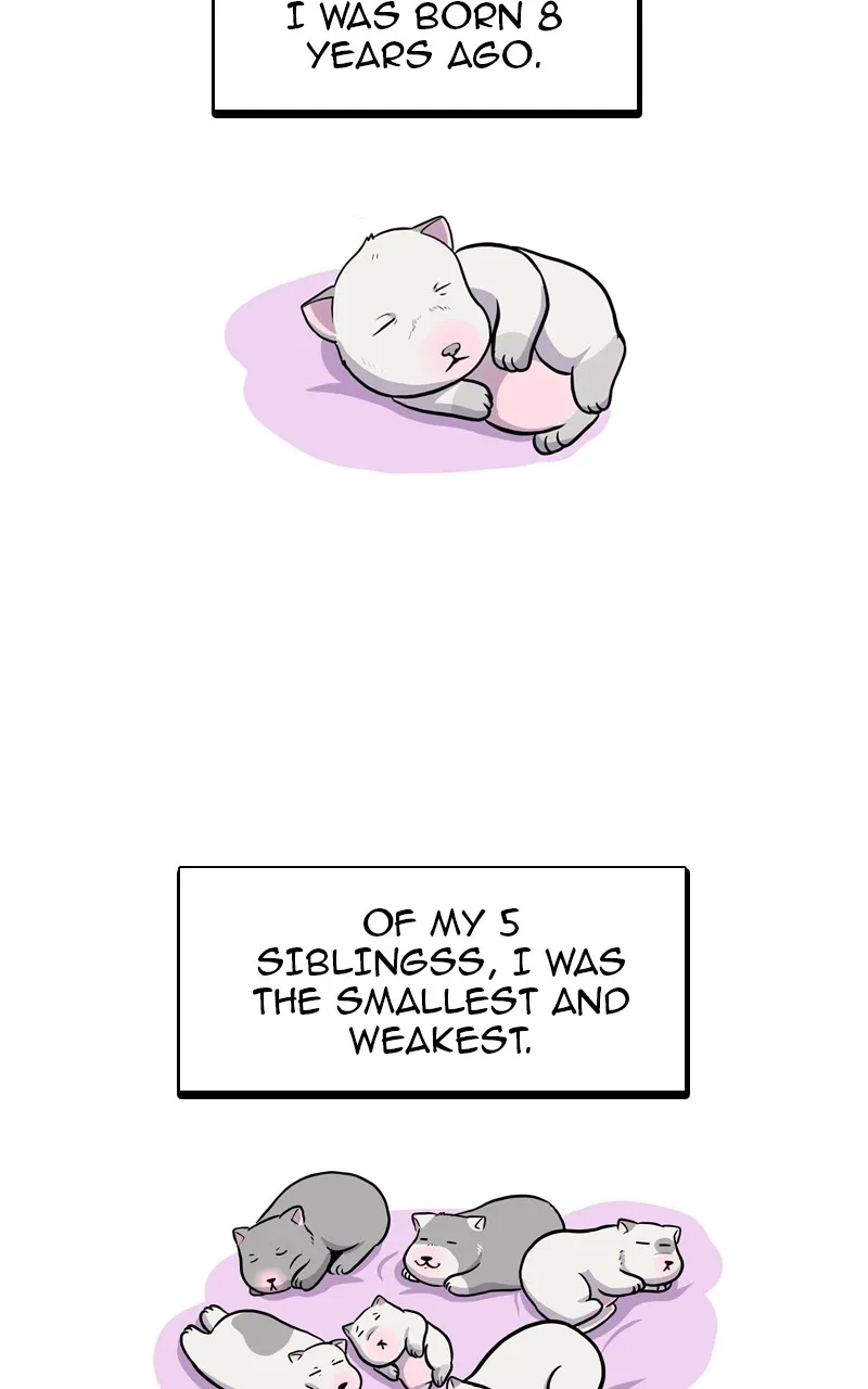 Read Escape from Oz chapter 26 image 1 on Lezhin