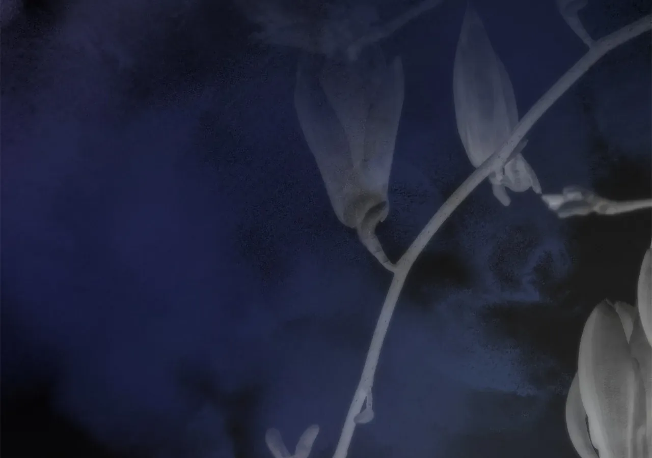 Escape Me If You Can Chapter 17 page 247 - 