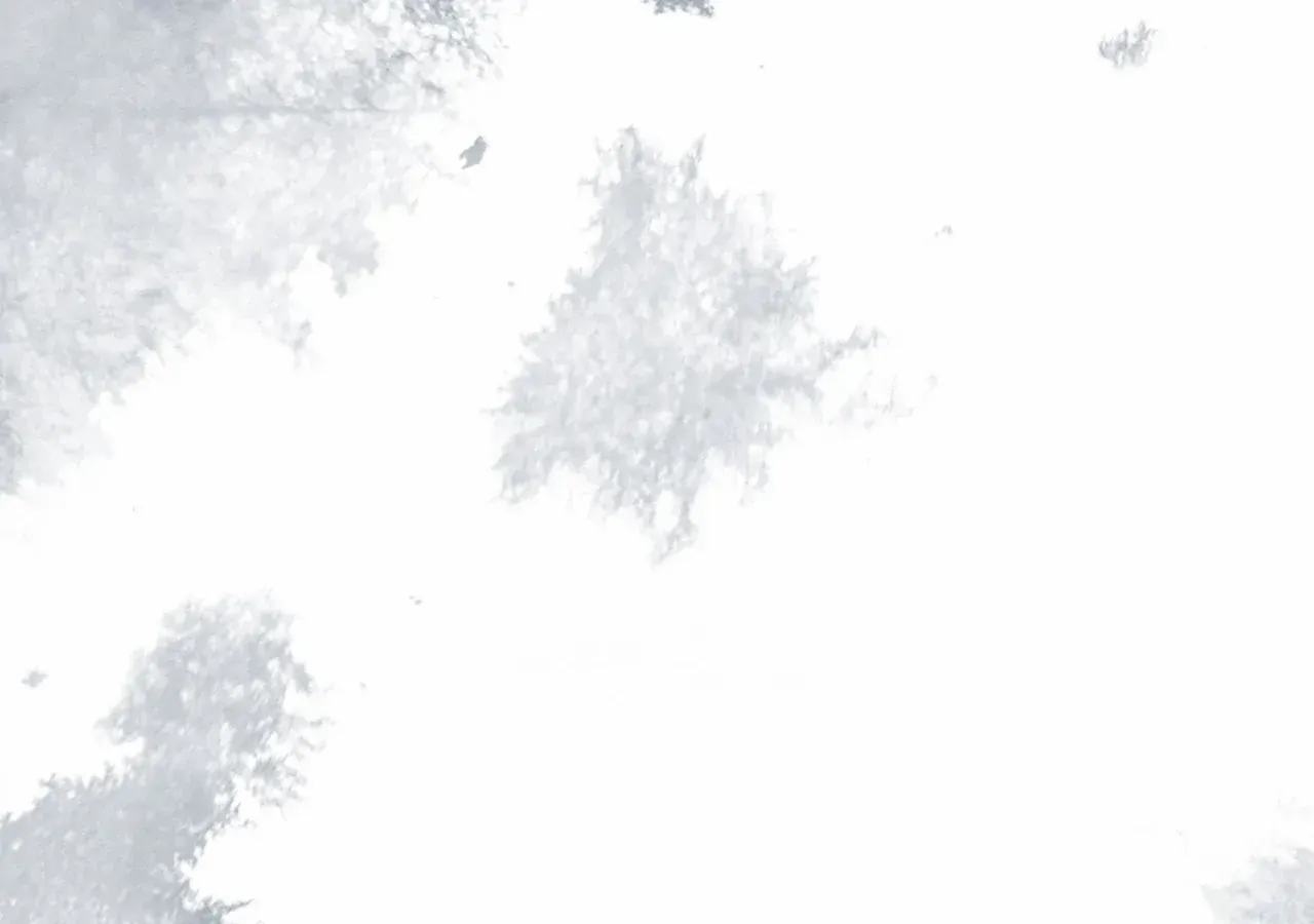 Escape Me If You Can Chapter 21 page 233 - 