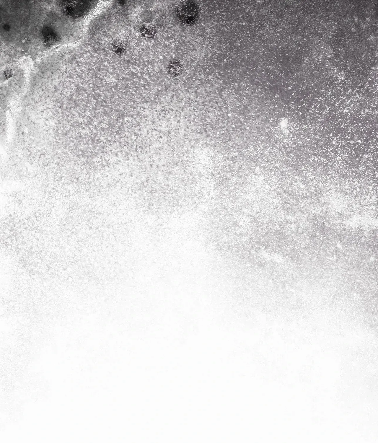 Escape Me If You Can Chapter 22 page 224 - 