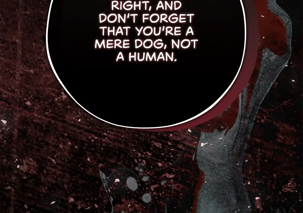 Escape Me If You Can Chapter 32 page 202 - 
