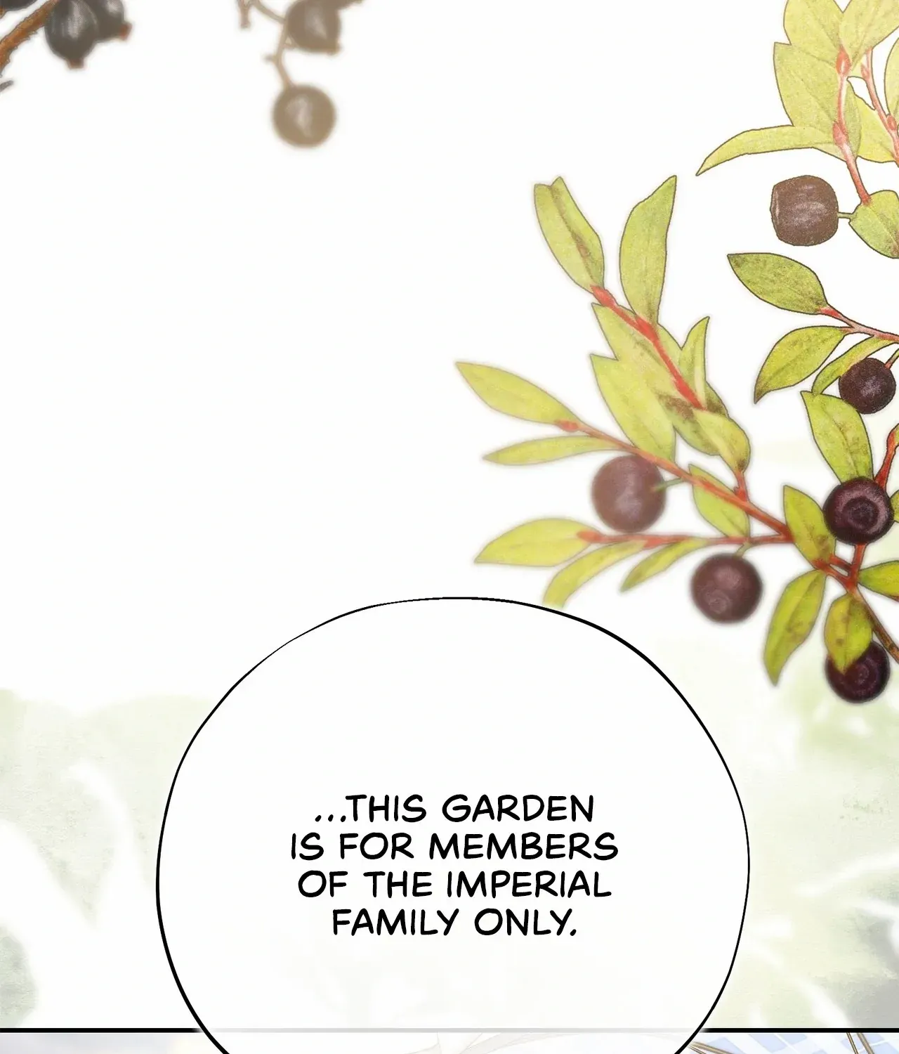 Escape Me If You Can Chapter 39 page 79 - 