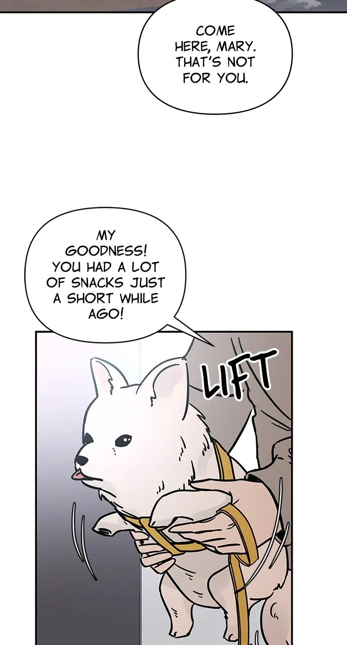Escaping the Illusion Chapter 7 page 36 - 