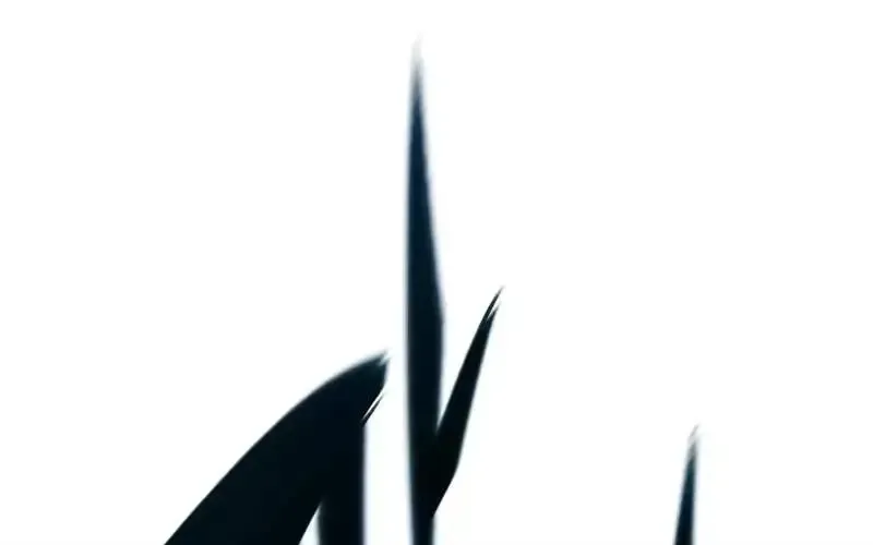 Read Eternally Regressing Knight chapter 111.1 image 51 on Lezhin