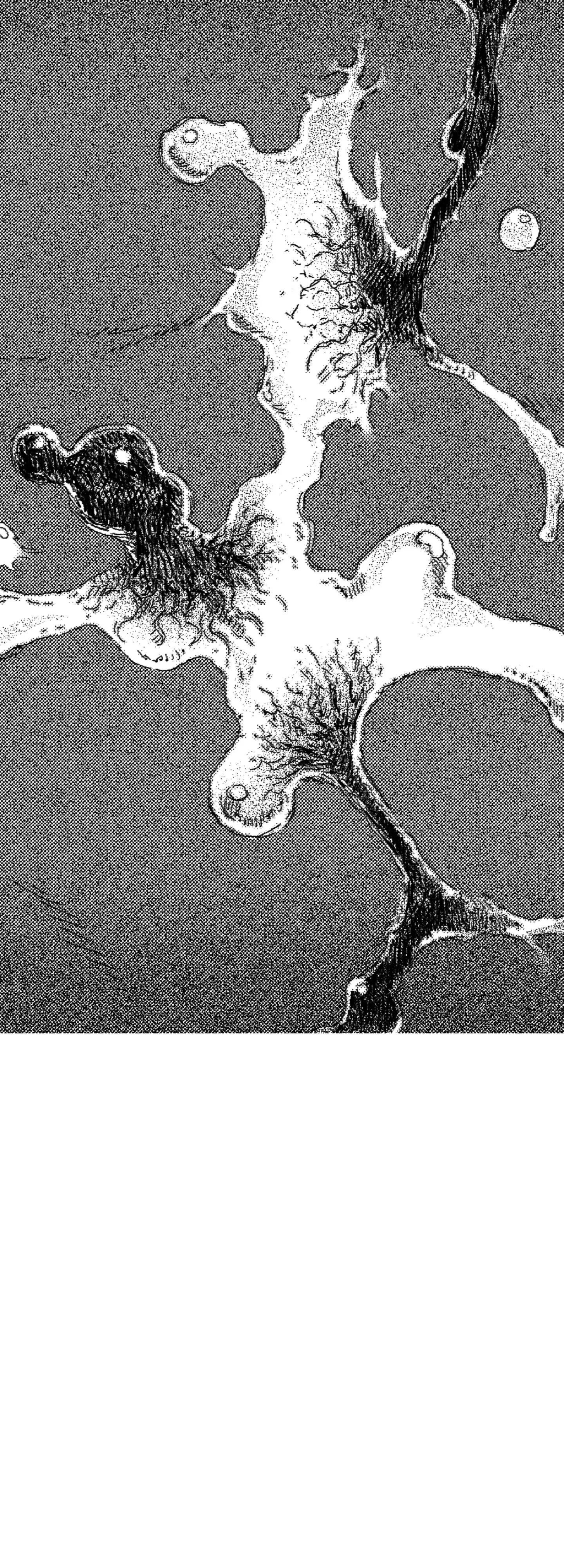 Read Eurydice neun Eopda chapter 54 image 24 on Lezhin