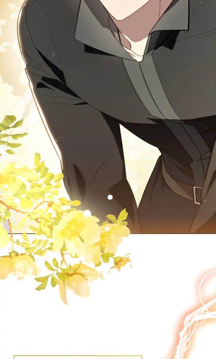 Read Evangeline