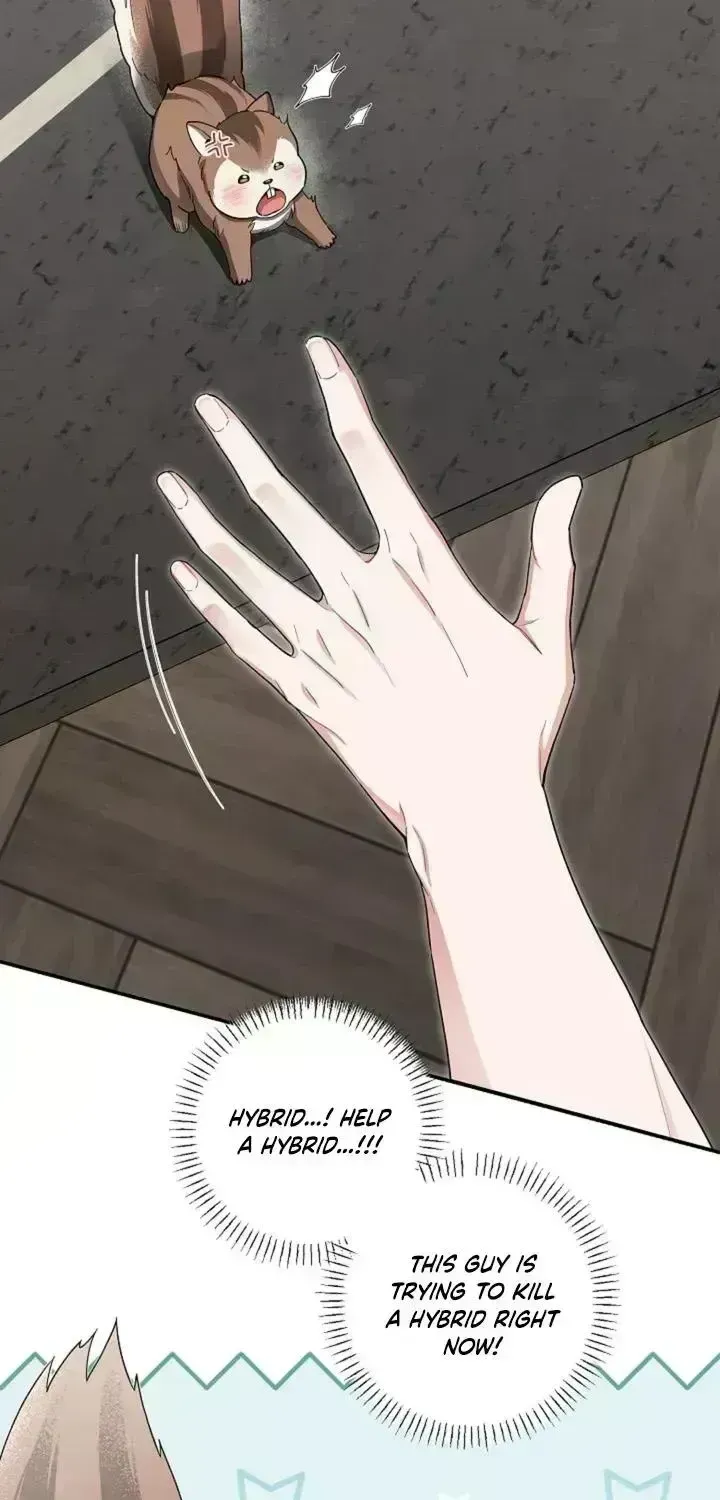 Read Even a lonely squirrel has its own burrow chapter 2.4 image 7 on Lezhin