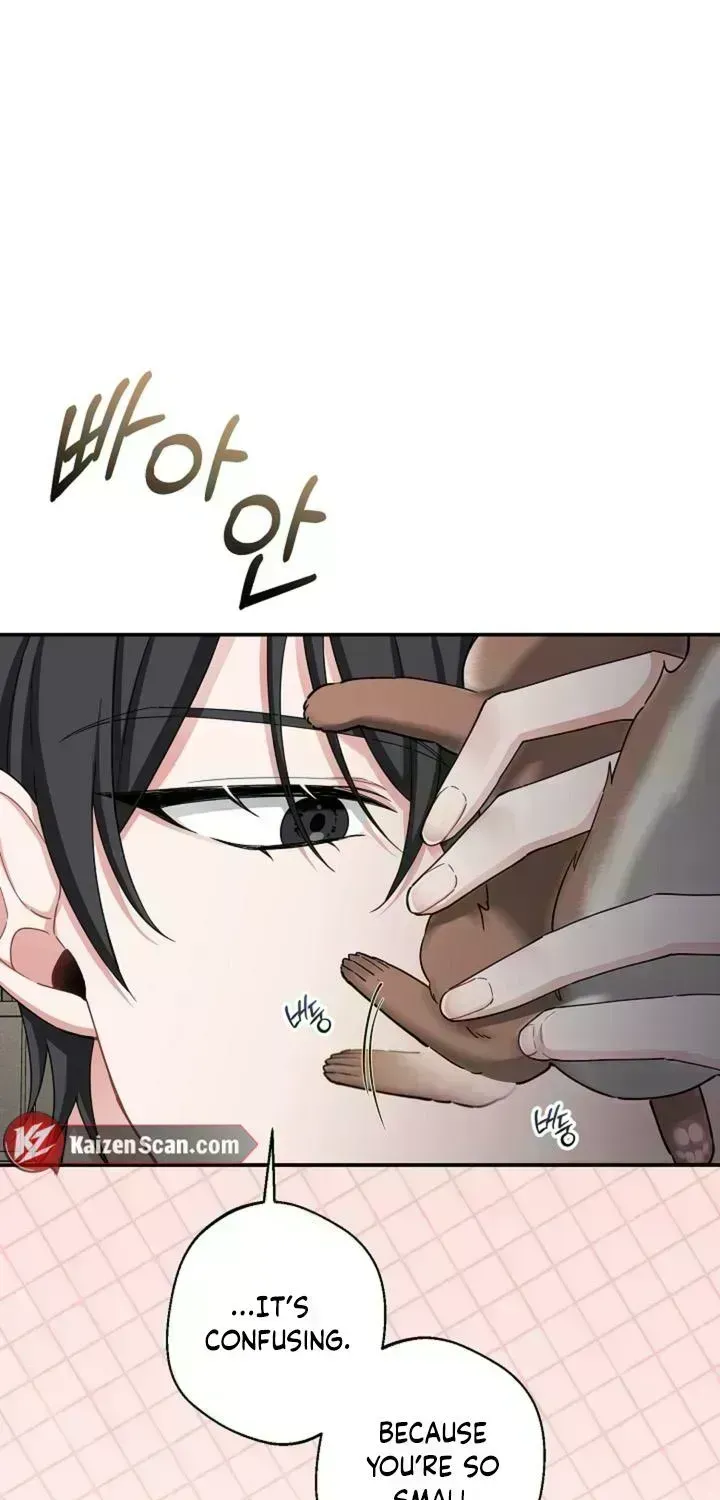 Read Even a lonely squirrel has its own burrow chapter 2.4 image 9 on Lezhin