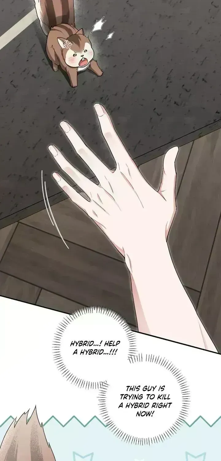 Read Even a lonely squirrel has its own burrow chapter 2.7 image 7 on Lezhin