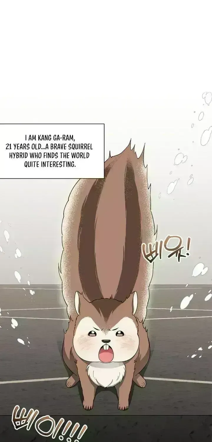 Read Even a lonely squirrel has its own burrow chapter 2.8 image 1 on Lezhin