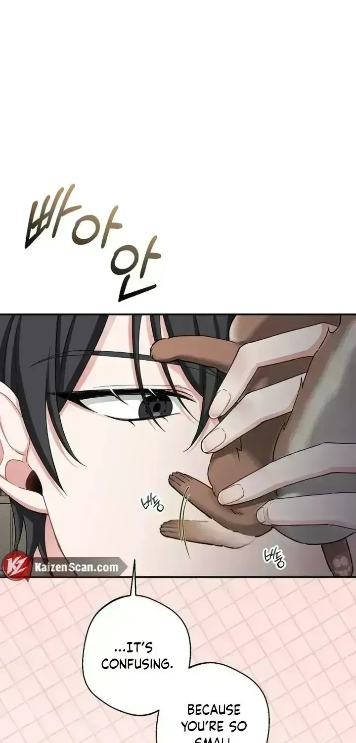 Read Even a lonely squirrel has its own burrow chapter 2.8 image 9 on Lezhin