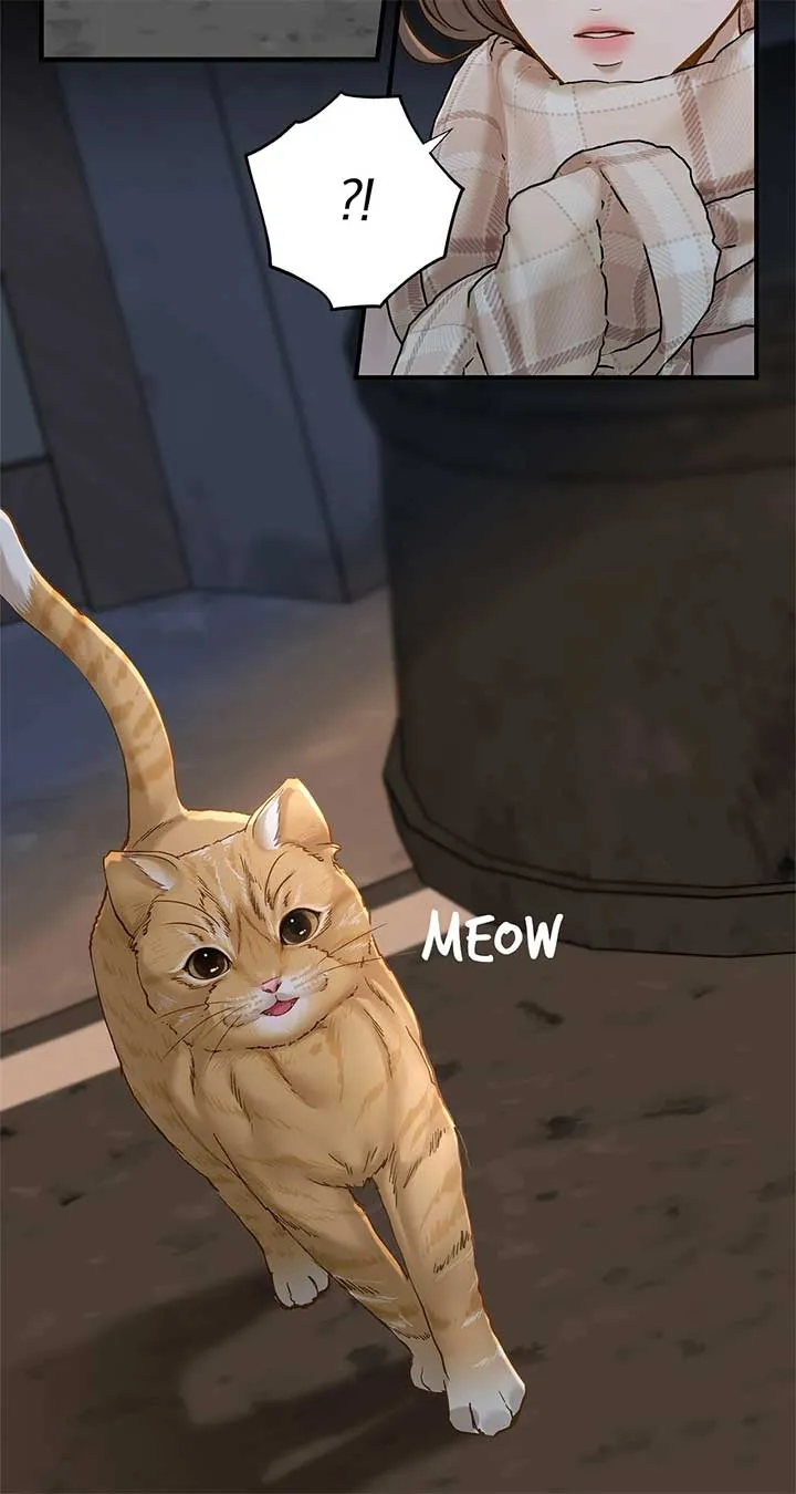 Read Even though you know it’s crazy chapter 38 image 5 on Lezhin