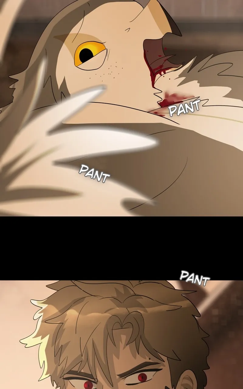 Read Everfallen chapter 35 image 5 on Lezhin
