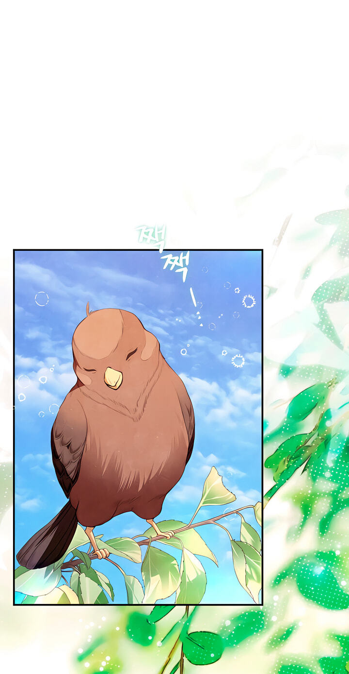 Read Everyday Every Night chapter 43 image 70 on Lezhin