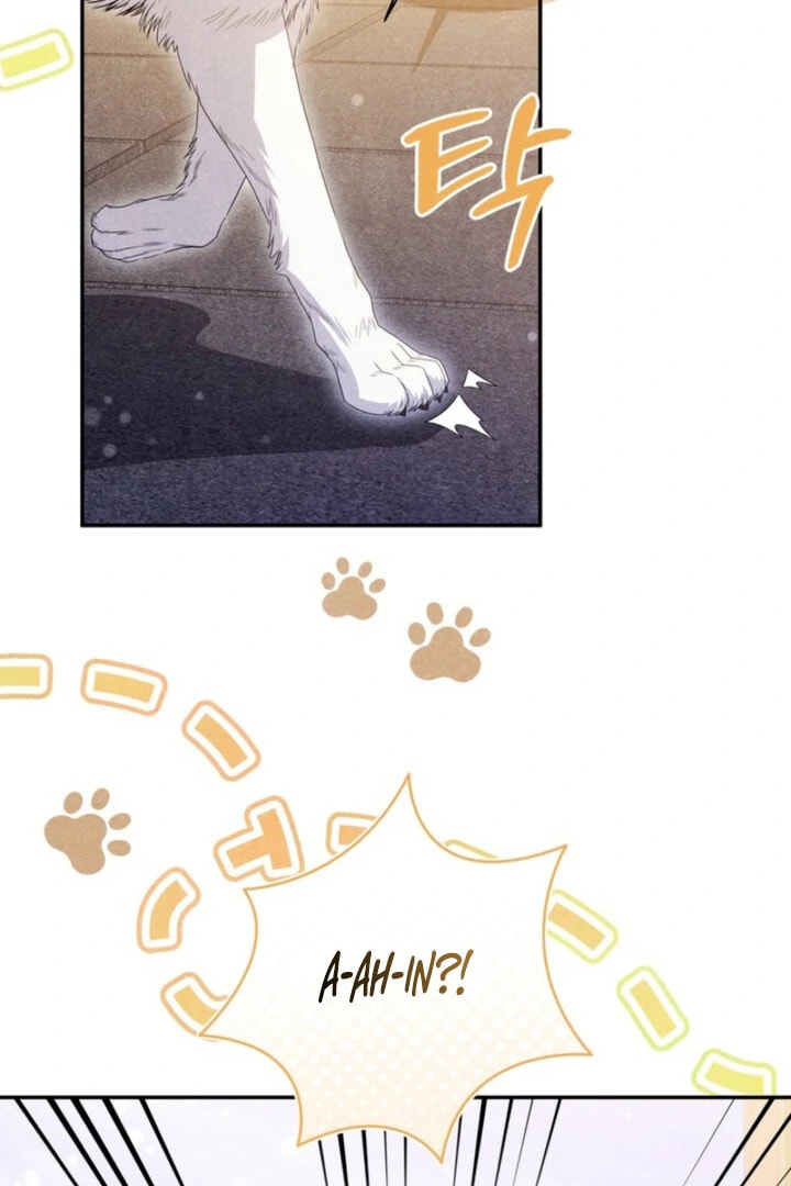 Read Everyday Every Night chapter 17 image 55 on Lezhin