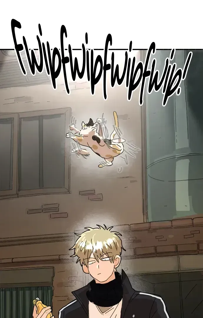 Read Everyone Hates Me chapter 1.3 image 34 on Lezhin