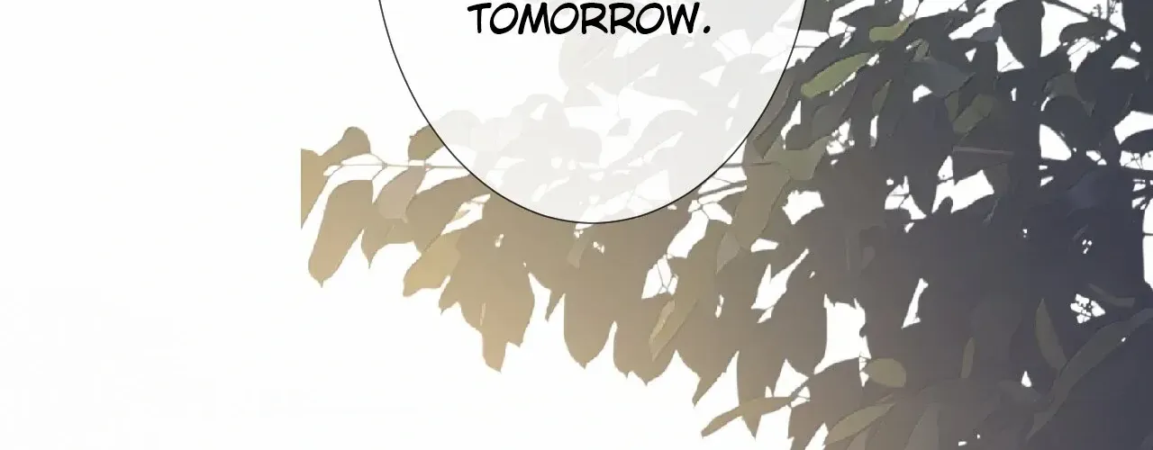 Read Everyone’s Darling chapter 102 image 15 on Lezhin