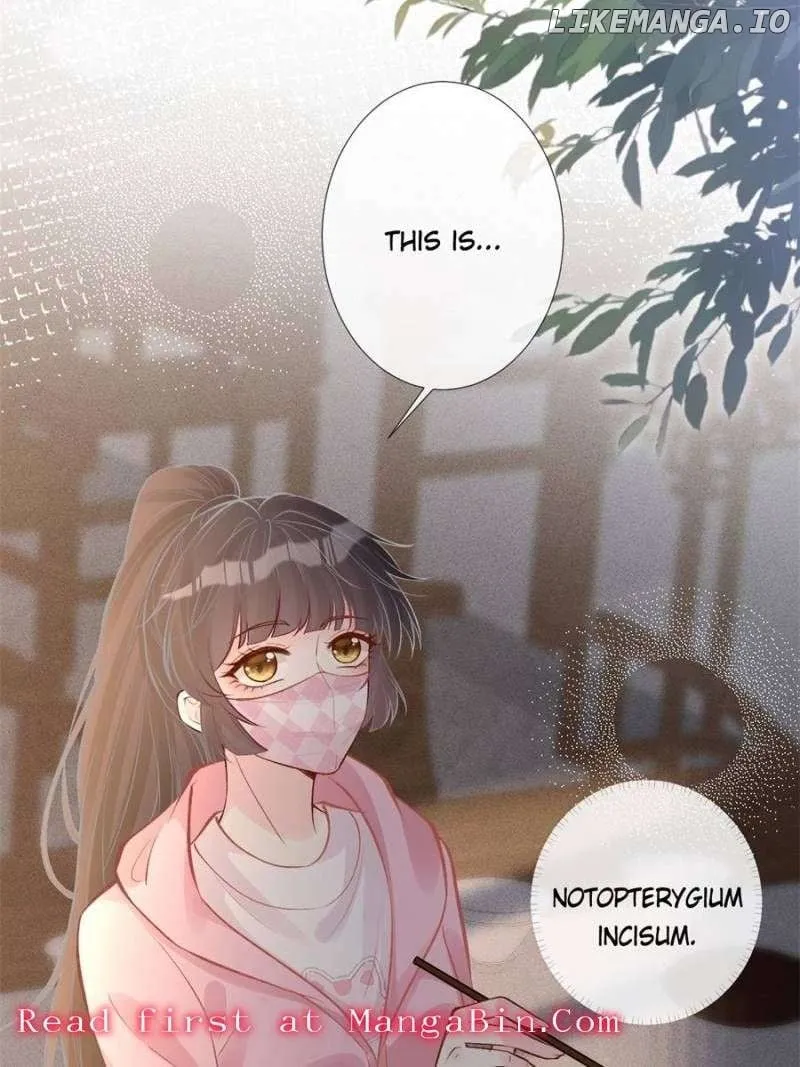 Read Everyone’s Darling chapter 119 image 17 on Lezhin