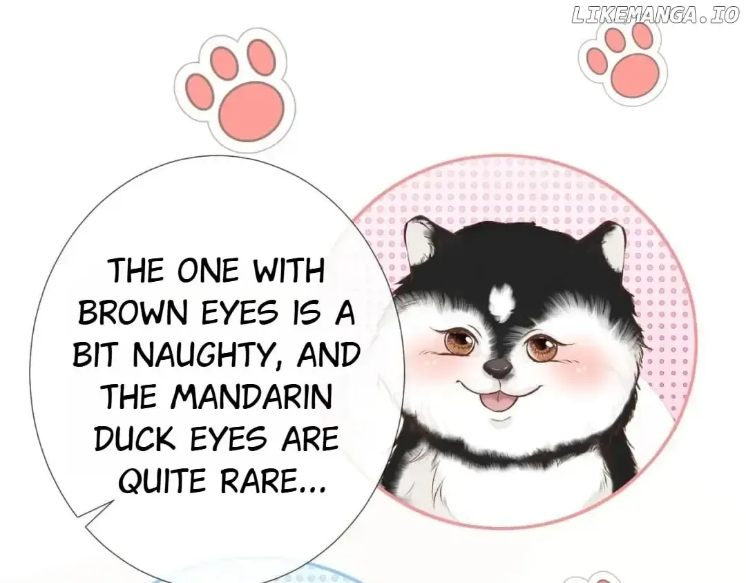 Read Everyone’s Darling chapter 149 image 46 on Lezhin