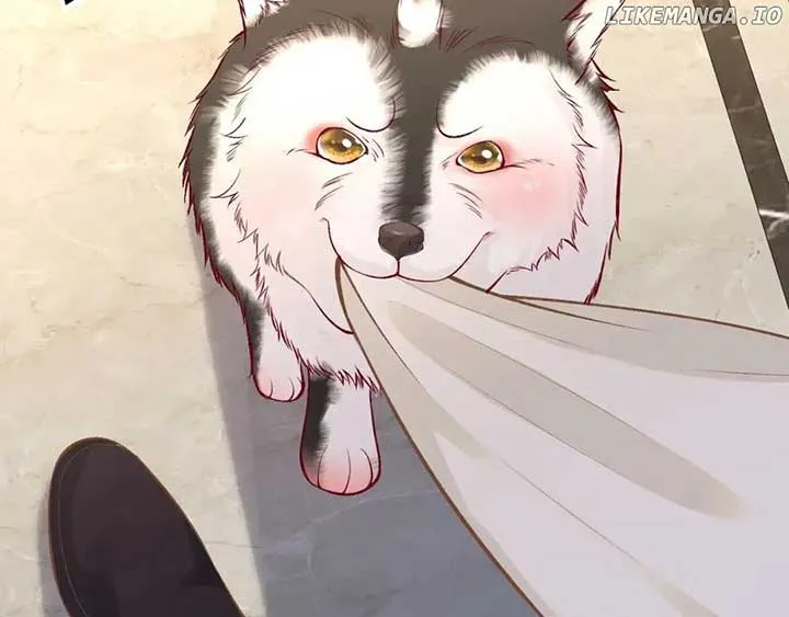 Read Everyone’s Darling chapter 150 image 23 on Lezhin