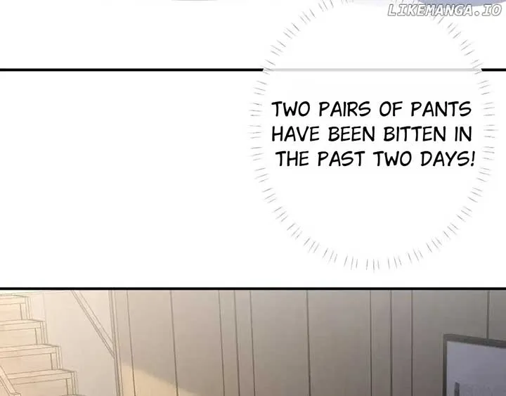 Read Everyone’s Darling chapter 150 image 26 on Lezhin