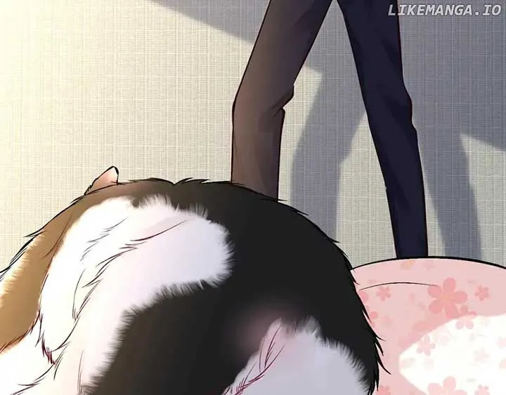 Read Everyone’s Darling chapter 150 image 4 on Lezhin
