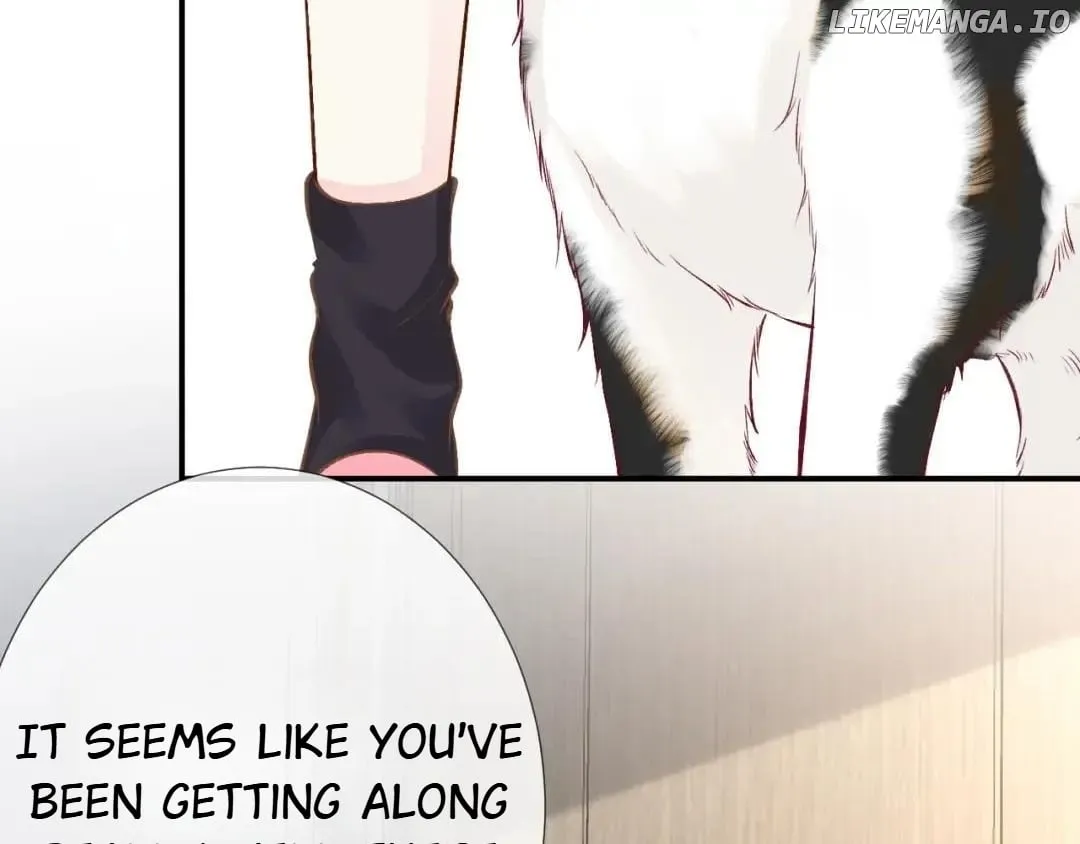 Read Everyone’s Darling chapter 151 image 8 on Lezhin