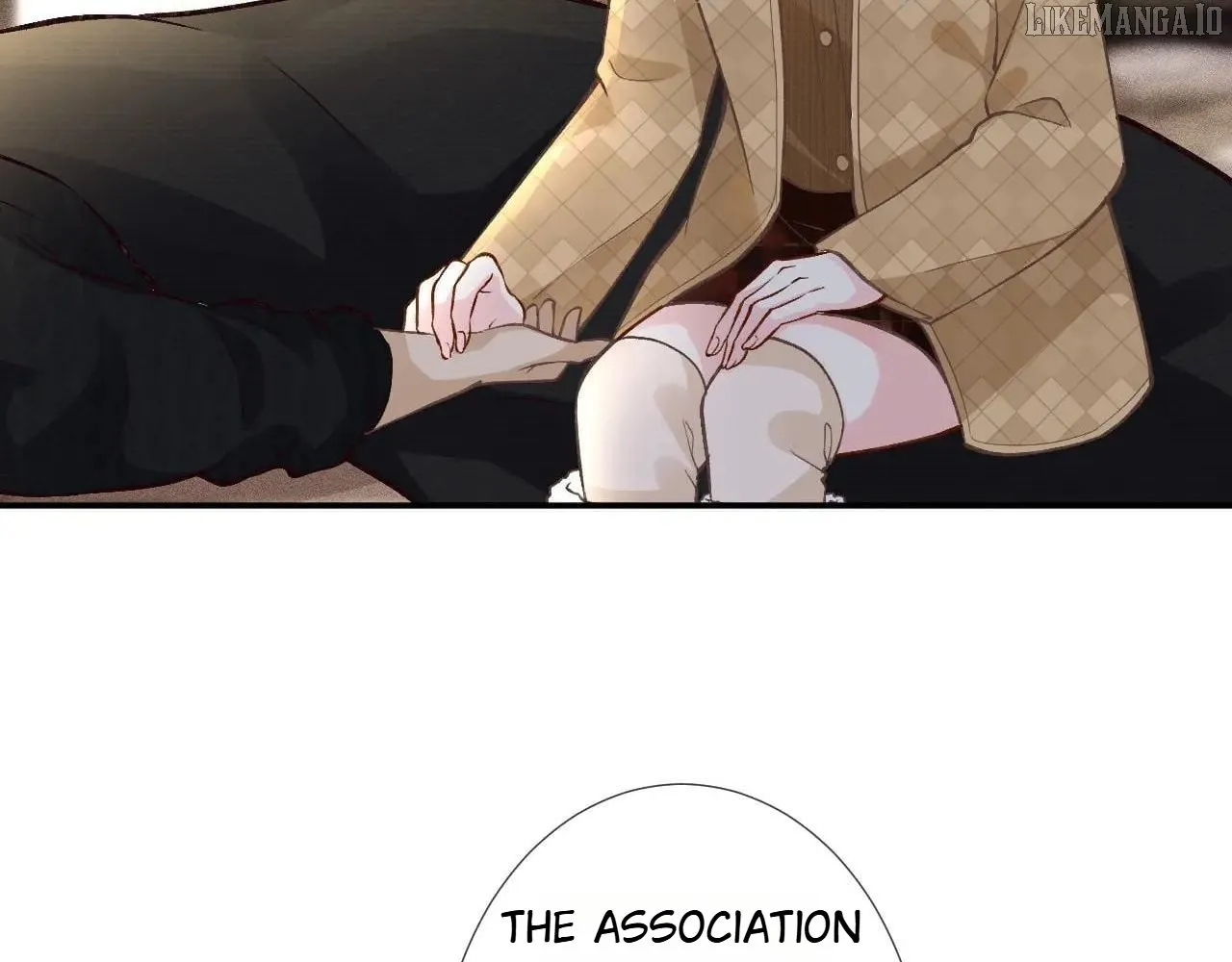 Read Everyone’s Darling chapter 255 image 11 on Lezhin