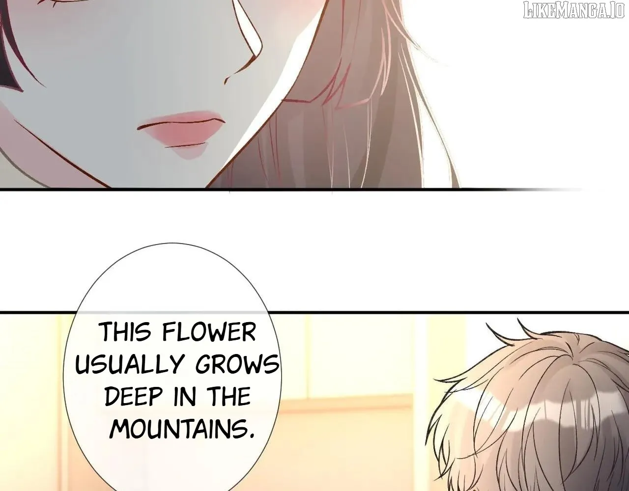 Read Everyone’s Darling chapter 259 image 25 on Lezhin